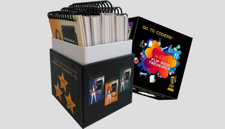 Closer Look: Go To Coders® Flip Book Treasures