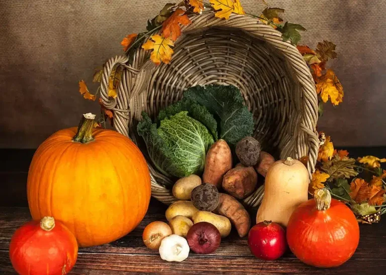 Happy Thanksgiving from Medical Coding Academy!